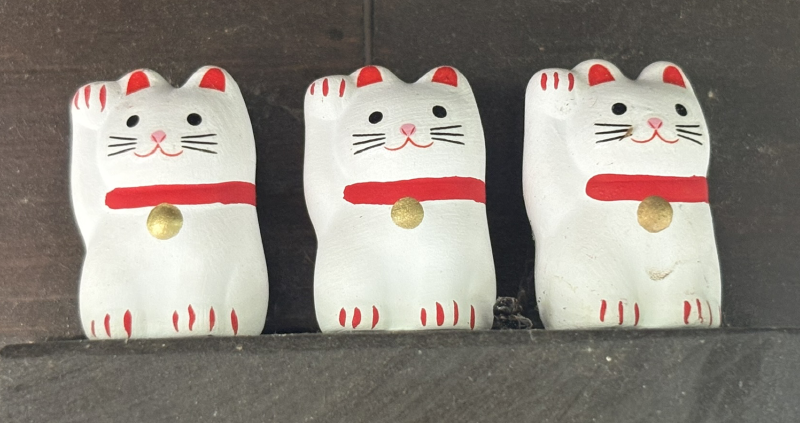 We Went to Japan