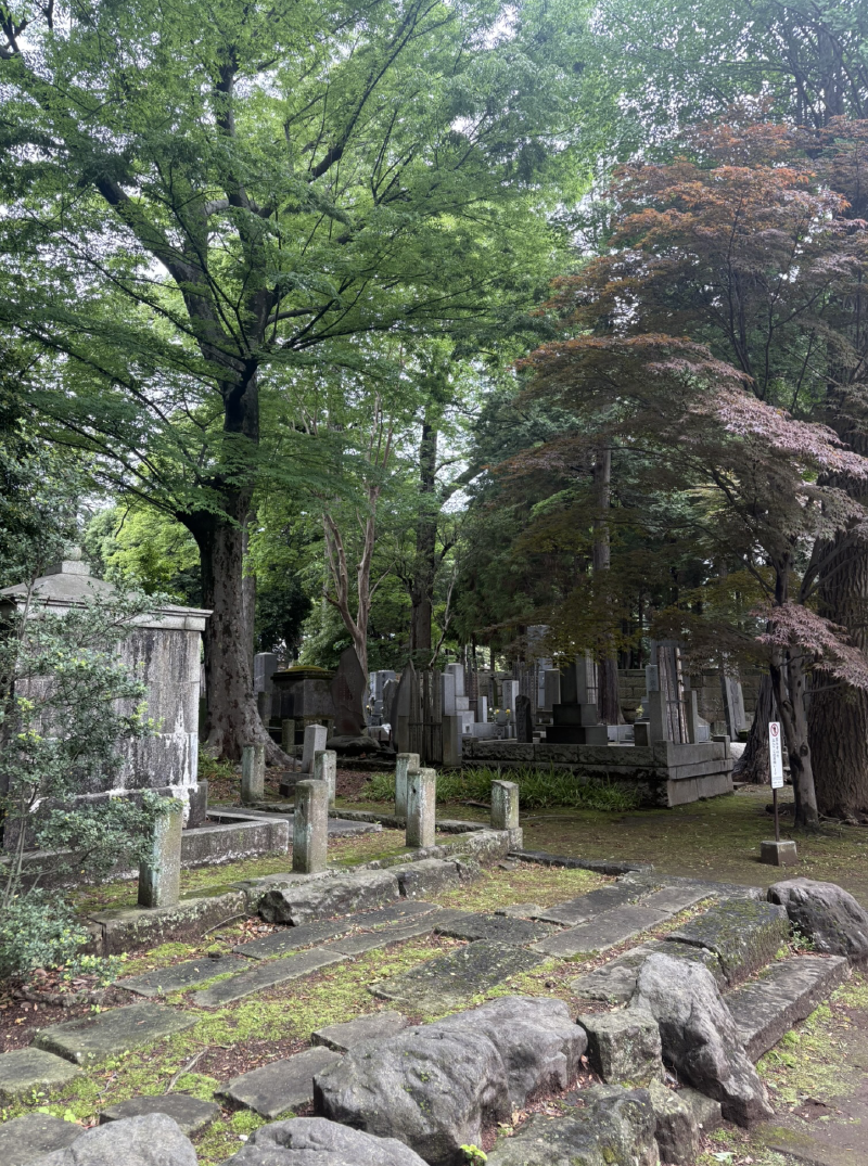 The Graveyard at Gotokuji