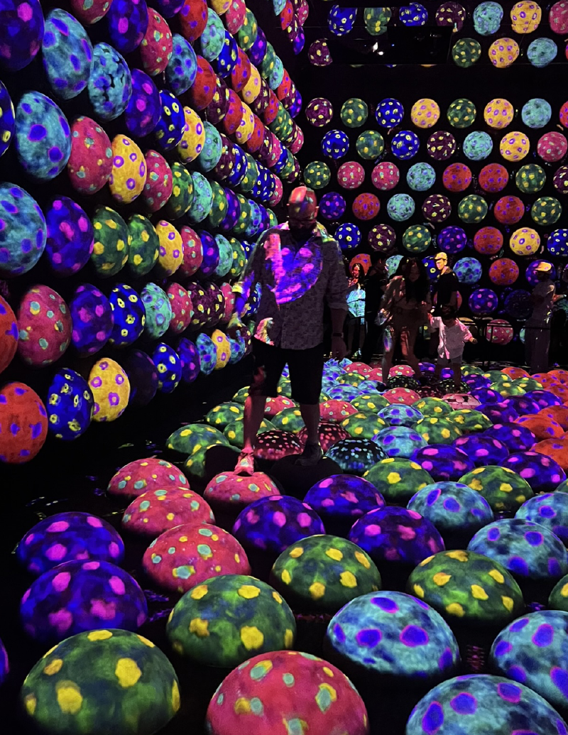 The Bouncy Planet Room