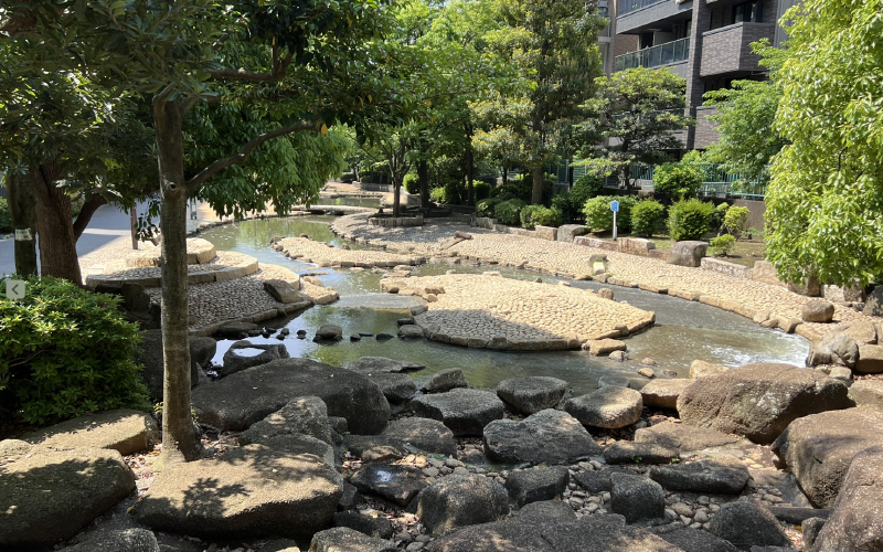 A nice water feaature at the park